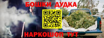 гидра Кимры