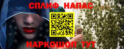 гидра Кимры