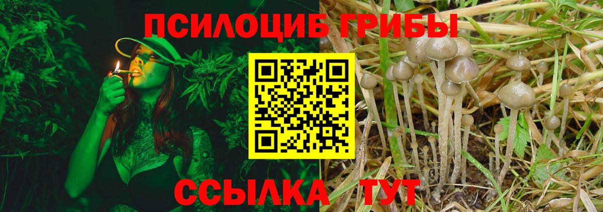 Галлюциногенные грибы Psilocybe  Псилоцибиновые грибы Psilocybine cubensis  Вход с VPN  Кимры 